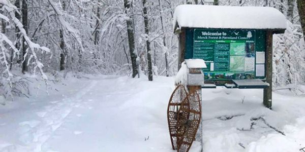 Merck Forest Snaps in Winter