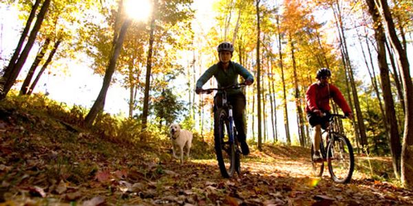 Kingdom Trails Open All Year to Skiers, Bikers, You Name It
