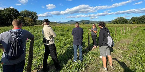 Vermont Cannabis Farm Tour