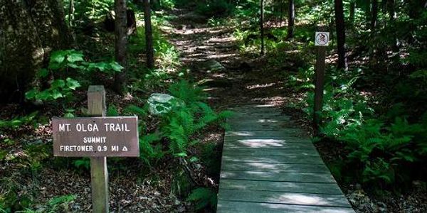 Molly Stark State Park Trails