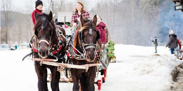 Sleigh Rides Through Grafton