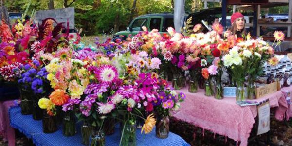Brattleboro Summer Farmers Market