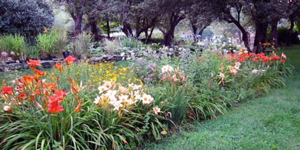 Cider Hill Gardens & Gallery
