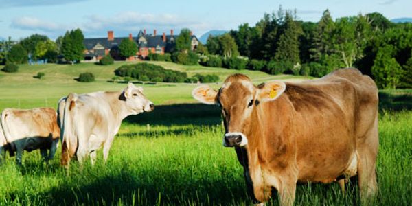 Farm Life and Farm Lore on Champlain’s Shore