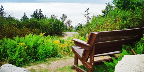 Mount Ascutney State Park