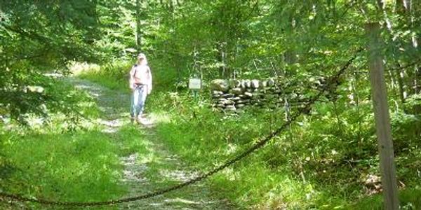 Gillespie/Copp-Welch Trails