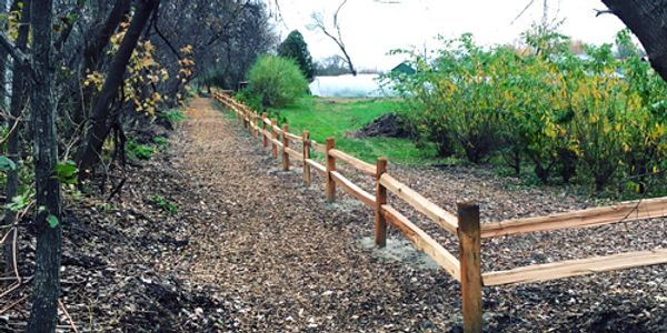 Intervale Center Trails