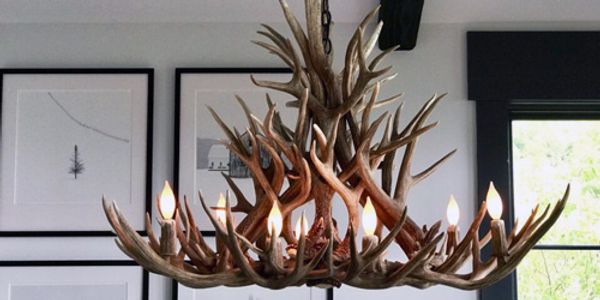 Mad River Antler – How Wild Does That Sound?