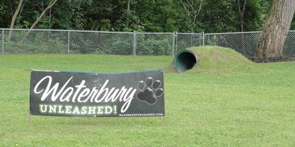 Waterbury Unleashed Dog Park