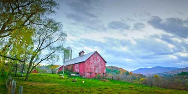 Hill Farm Inn