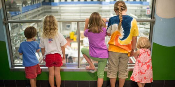 Ben & Jerry's Factory Tours