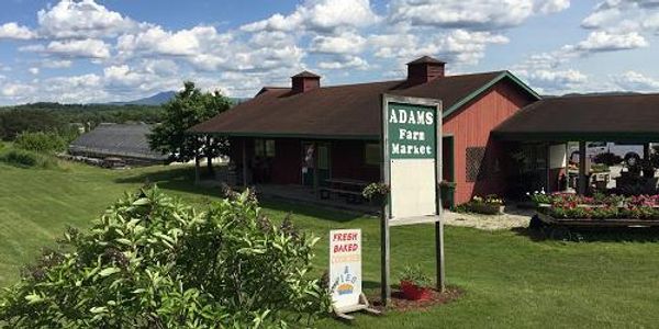Adams Apple Orchard