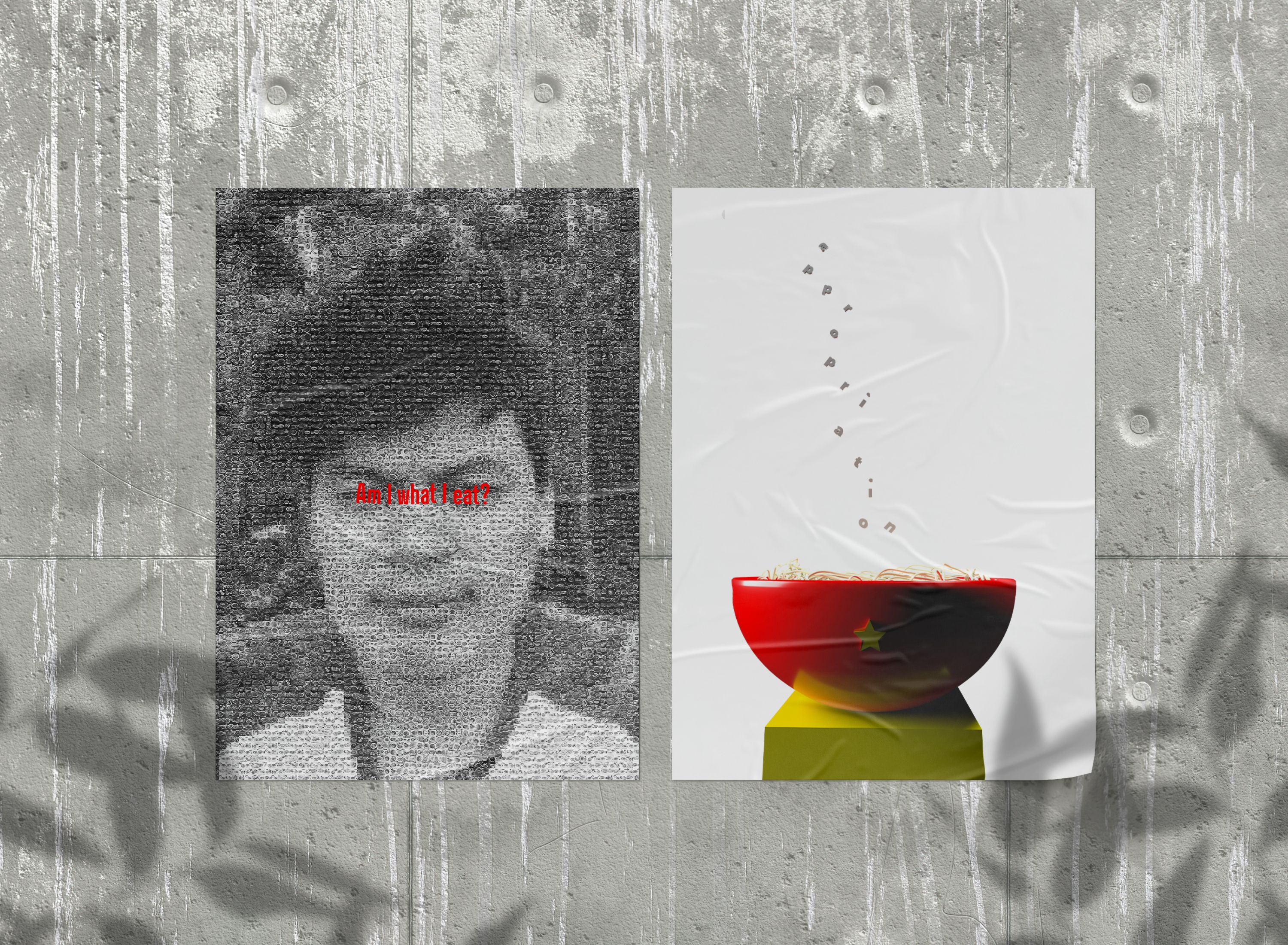 Digital mockup of two posters. The left is a portrait made from bowls of pho with red words reading "Am I what I eat?", the right is a red bowl of pho on a green pedestal with the word, "appropriation"