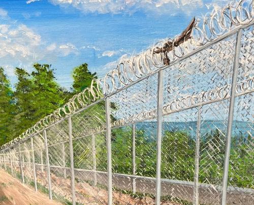 Painting of a bird stuck in a barbed wire fence.