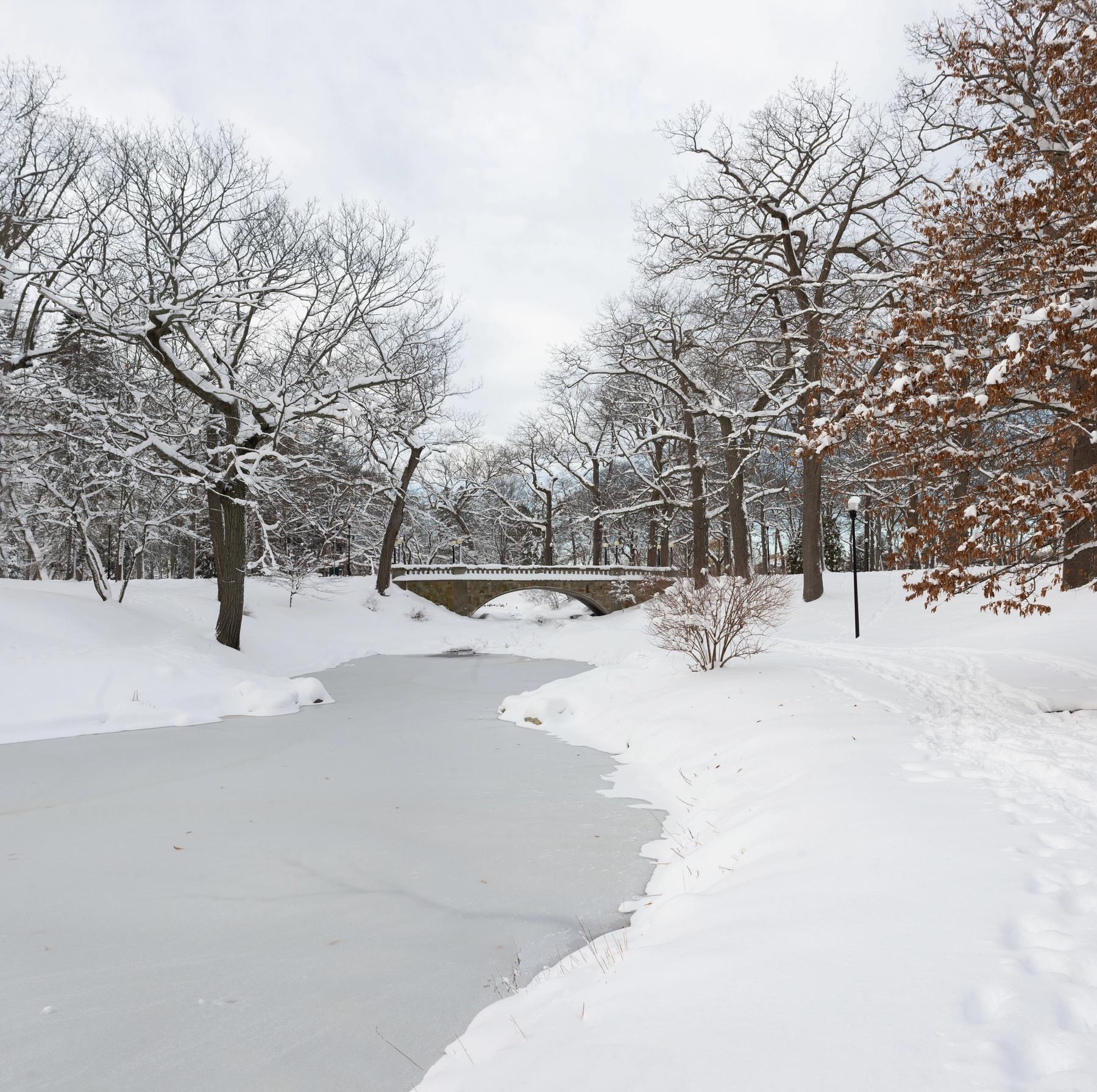 A snowy view of Deering Oaks Park bridge above a frozen pond.