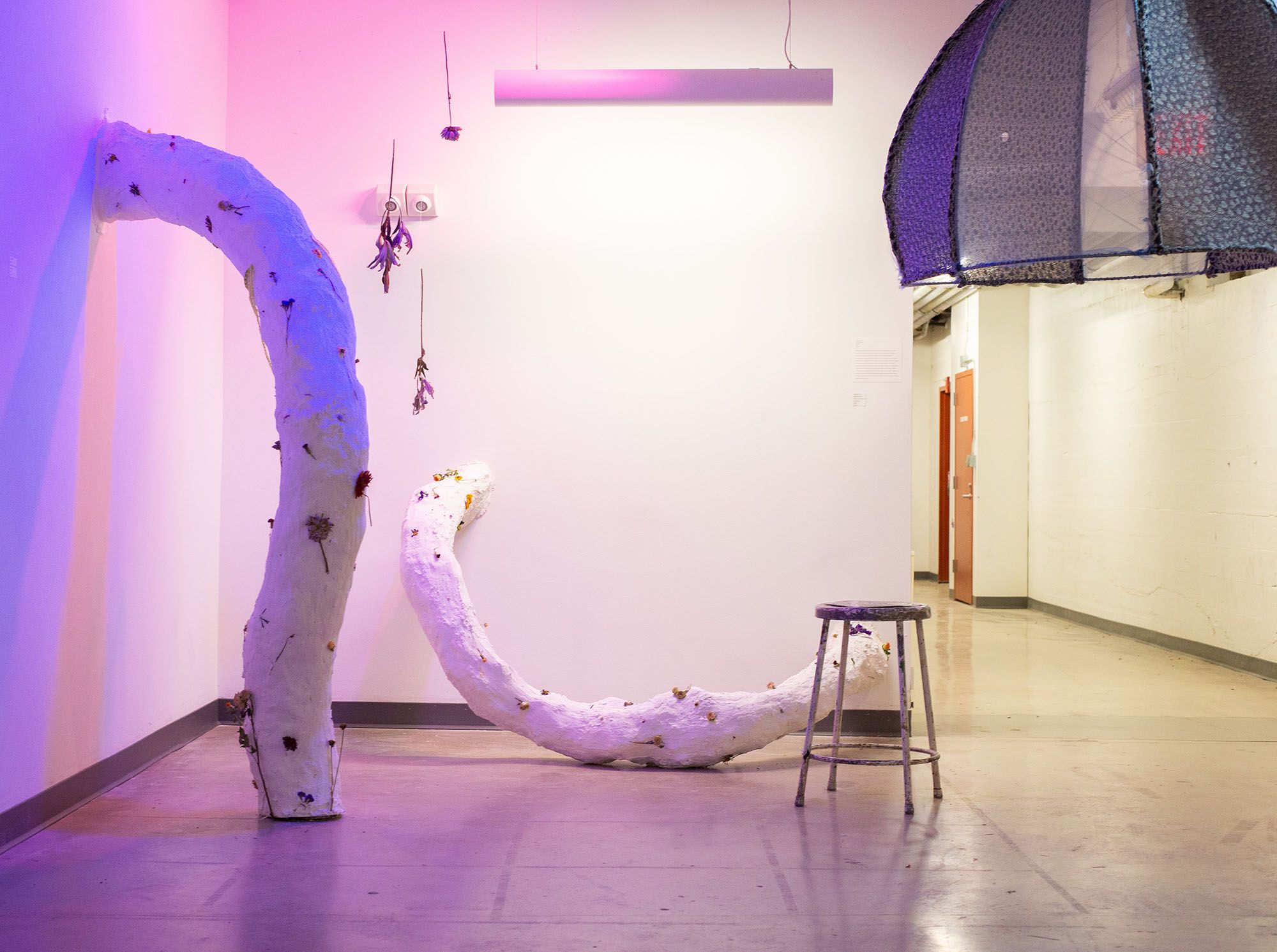 Installation of floral plaster sculptures emerging from the floor and walls.