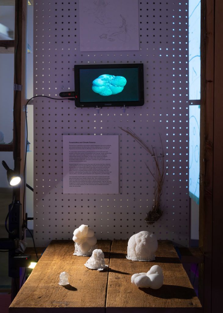 Installation view of a pegboard with a tablet depicting a 3D model. On the wooden table below, there are five white lumpy objects.