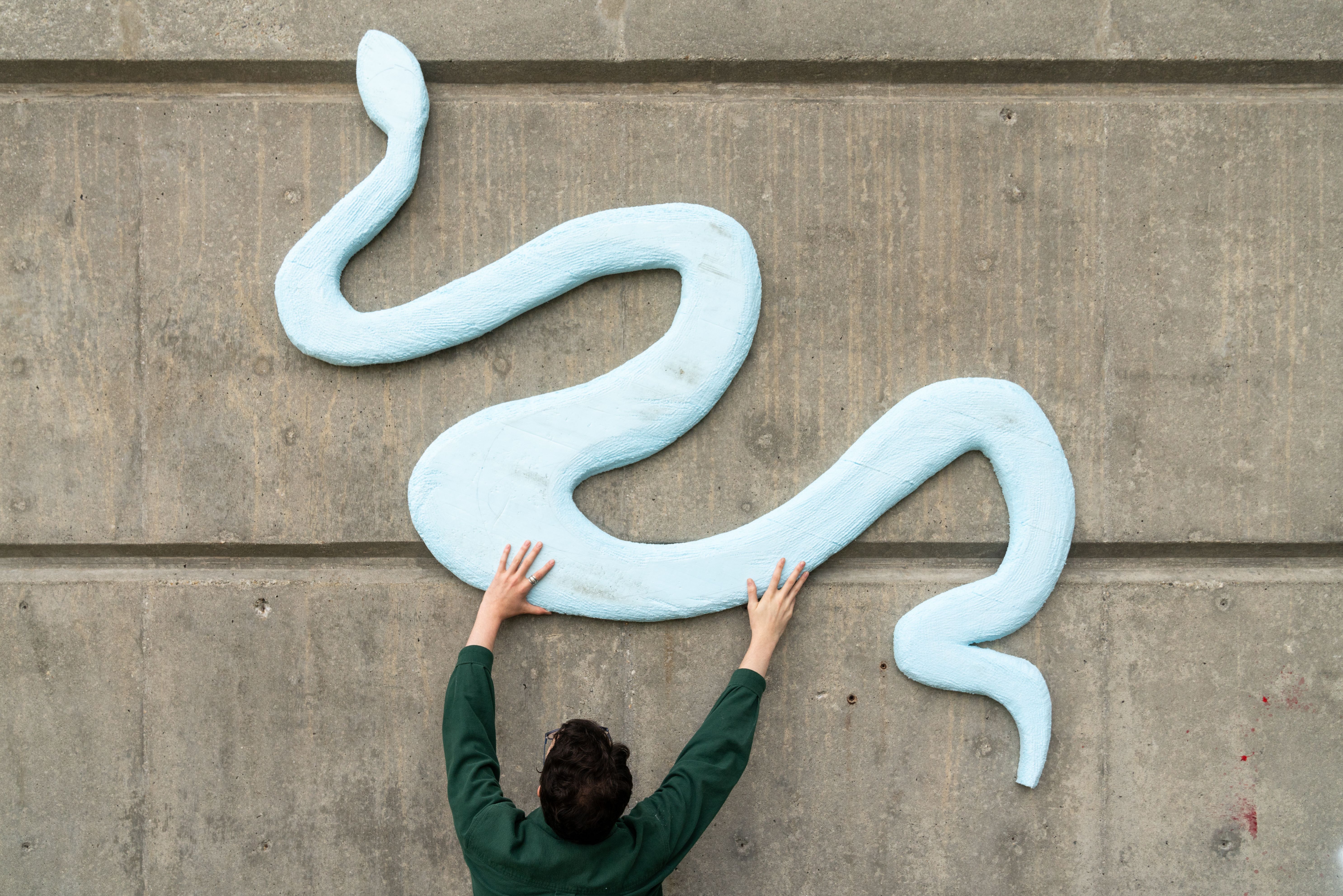 An MFA student installing a large sculpture depicting a snake.