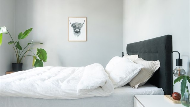 Soverommet er har en takhøyde på 3,75 meter og oppleves som svært luftig og behagelig.