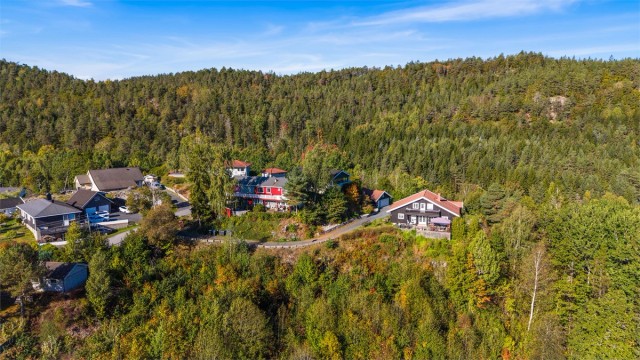 Boligene på Lauvåsen ligger tilbaketrukket med umiddelbar nærhet til skog og mark.
