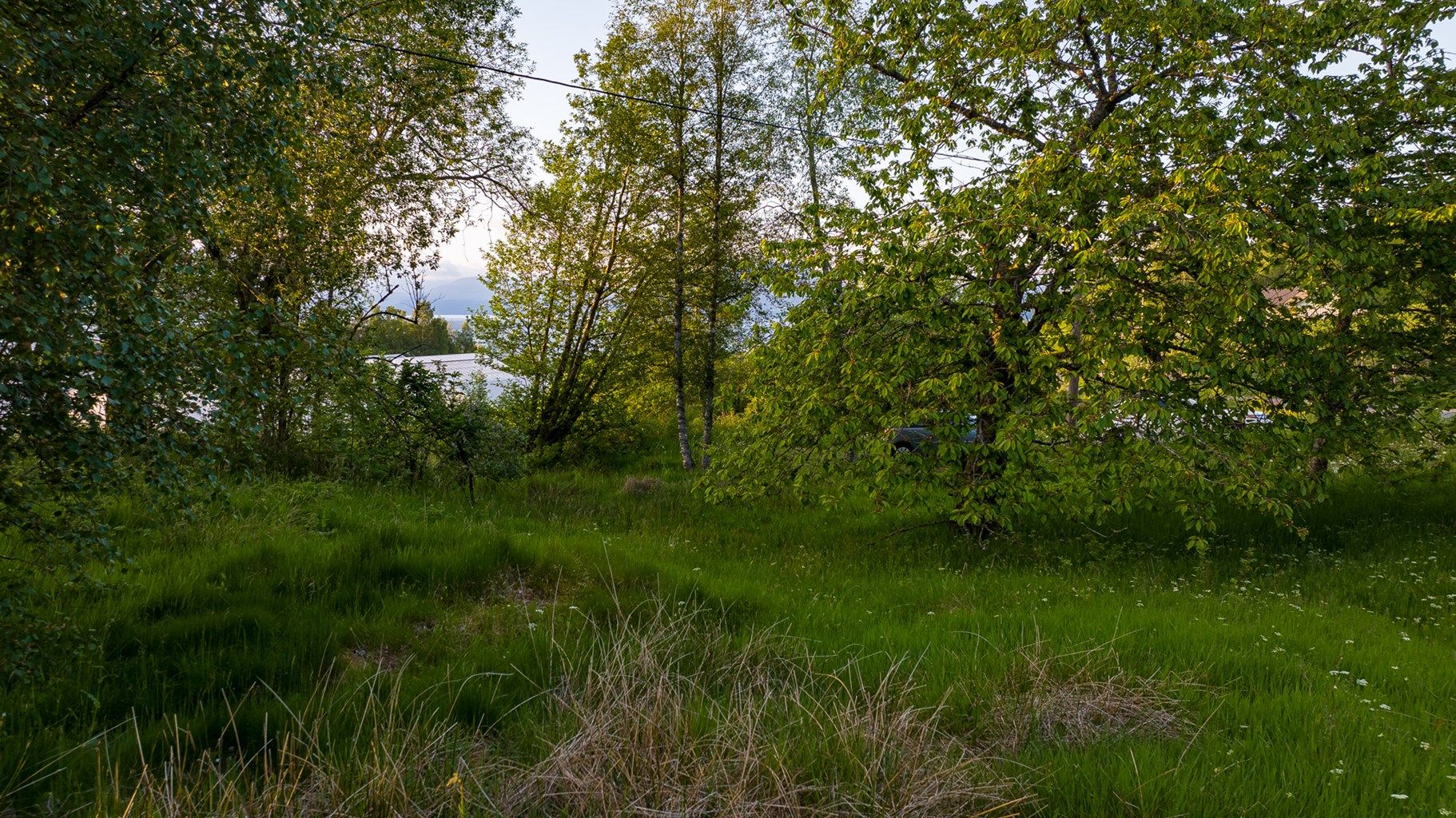 På tomten