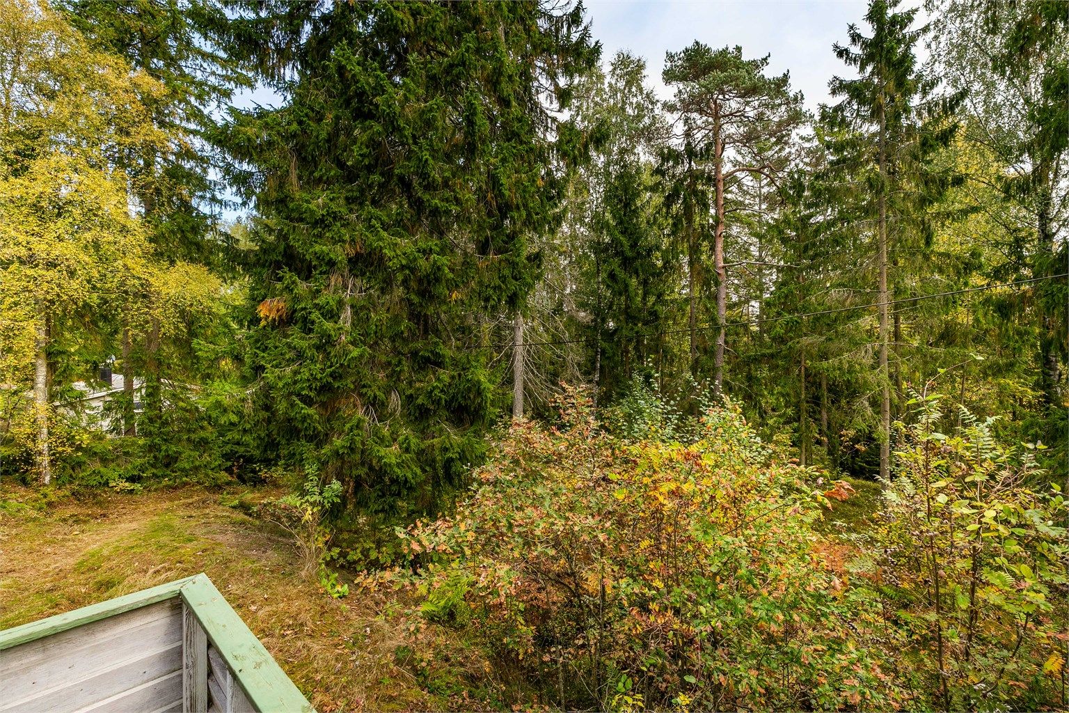 Utsyn fra terrassen til det skogkledde terrenget rundt hytta. Tomten er festet og på romslige 1.835 kvm.