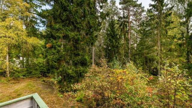Utsyn fra terrassen til det skogkledde terrenget rundt hytta. Tomten er festet og på romslige 1.835 kvm.