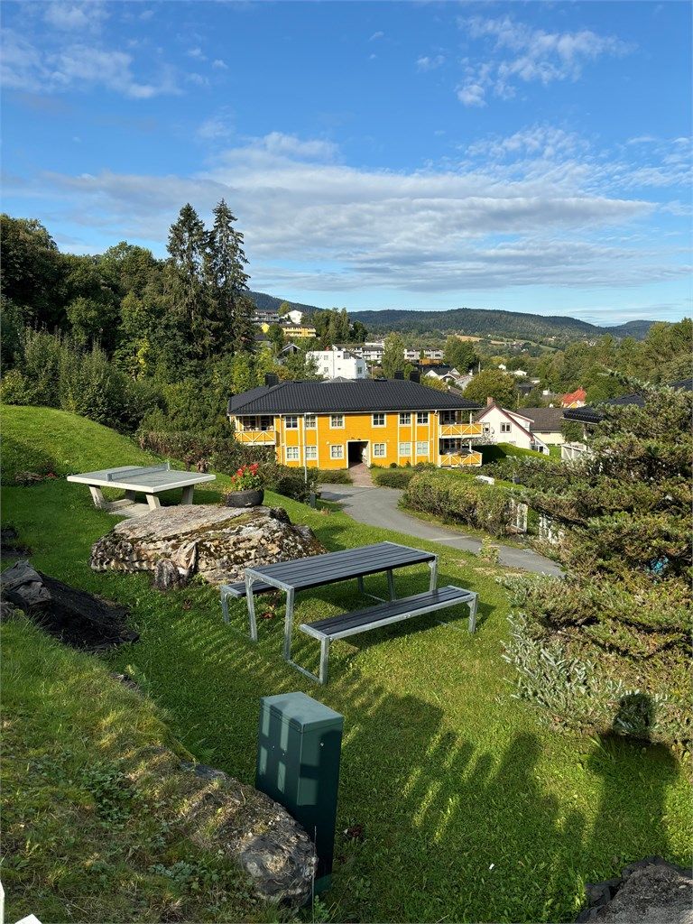 Selgers bilde av fellesarealer