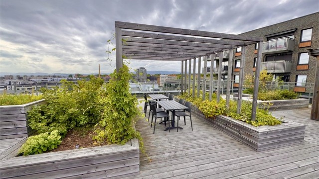 Borettslagets pent opparbeide felles, takterrasse er pent opparbeidet med plantekasser og sittegrupper.