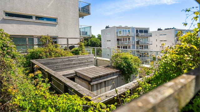 Felles takterrasse for beboerne.