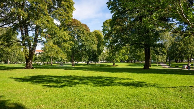 Flotte parker finnes også rett i nærheten, bl.a. Birkelunden og Sofienbergparken. Spaserer du oppover vil du komme til trehusidyllen på Rodeløkka, spaserer du motsatt retning av Grünerløkka kommer du frem til Botaniske Hage.