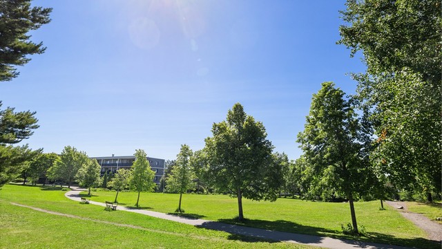 Store og flotte grøntarealer rett utenfor døren