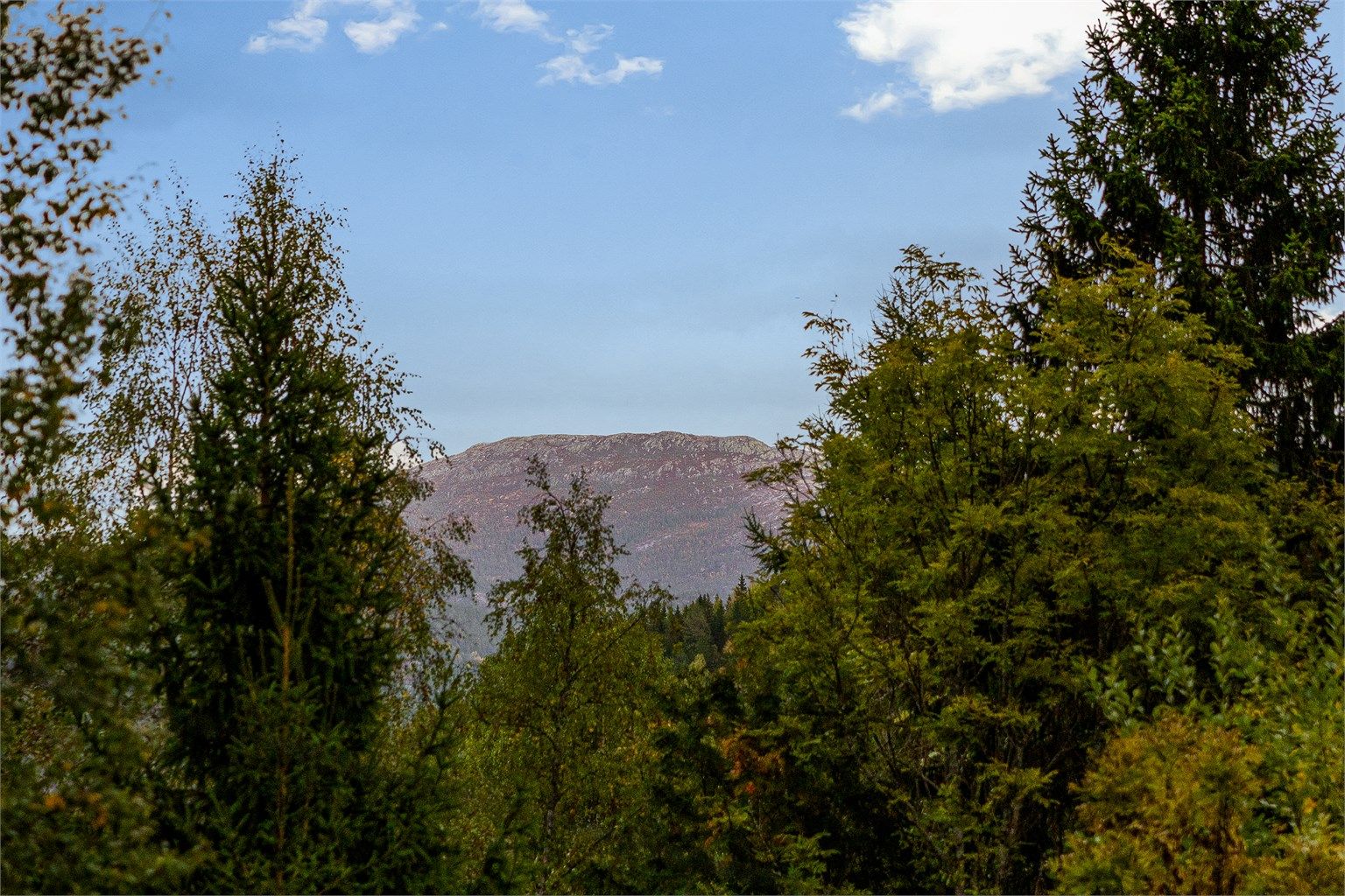 De omkransende fjelltoppene er vakre året rundt.
