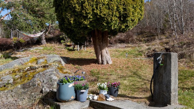 Utekranen er tilknyttet vellets sommervann.