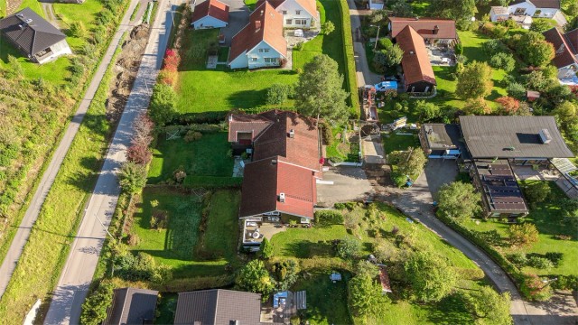 Stor tomt med hyggelig, frodig og pent opparbeidet hage med et variert utvalg av busker, trær, blomster og annen beplantning.