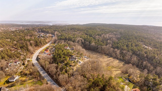 Turmuligheter er det flust av, både nært og fjernt.