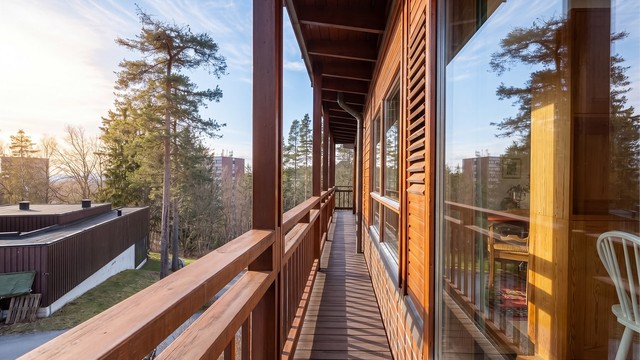 Det er nydelige solforhold på tomten.