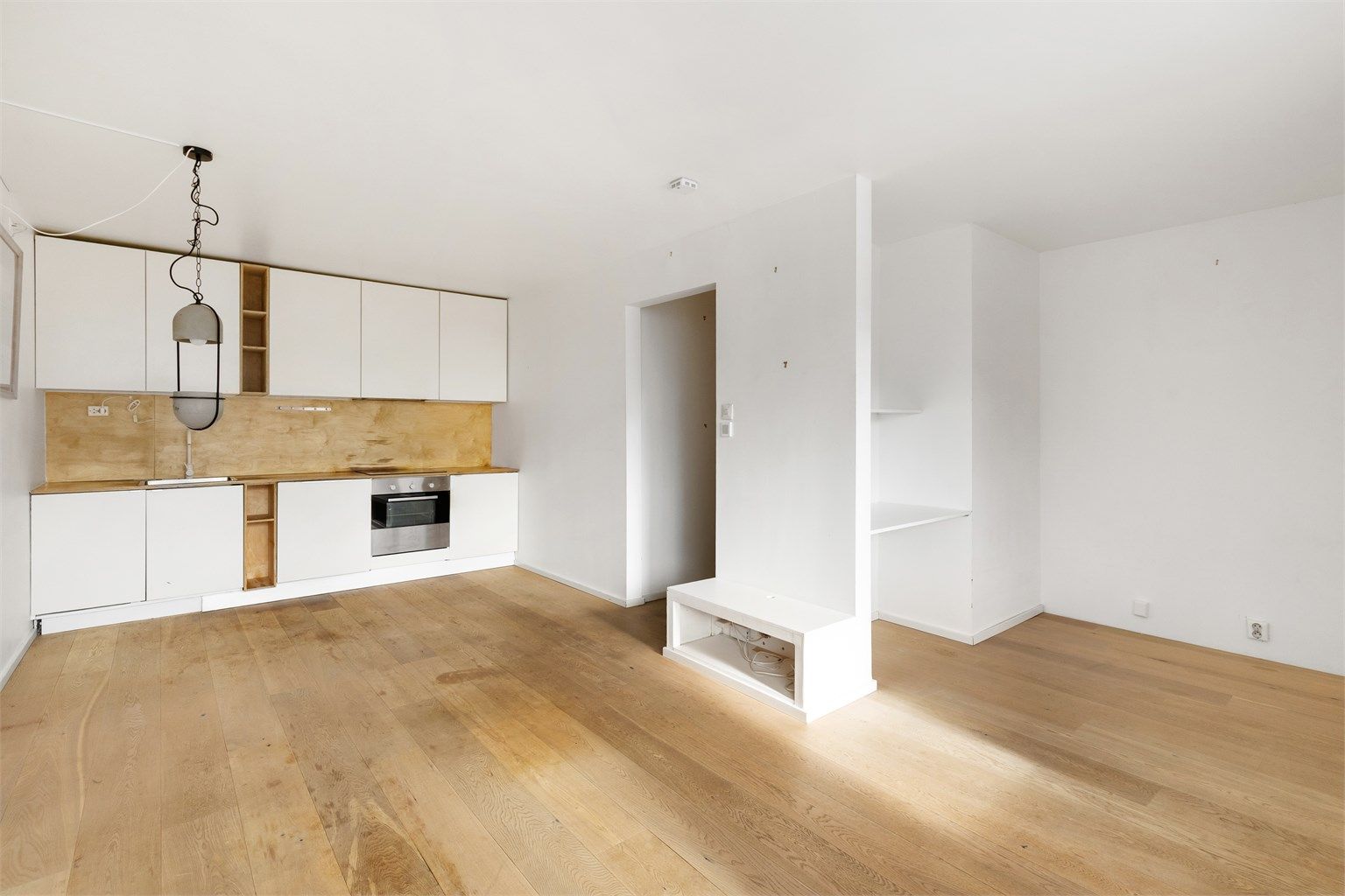 Stue/kjøkken/sovealkove