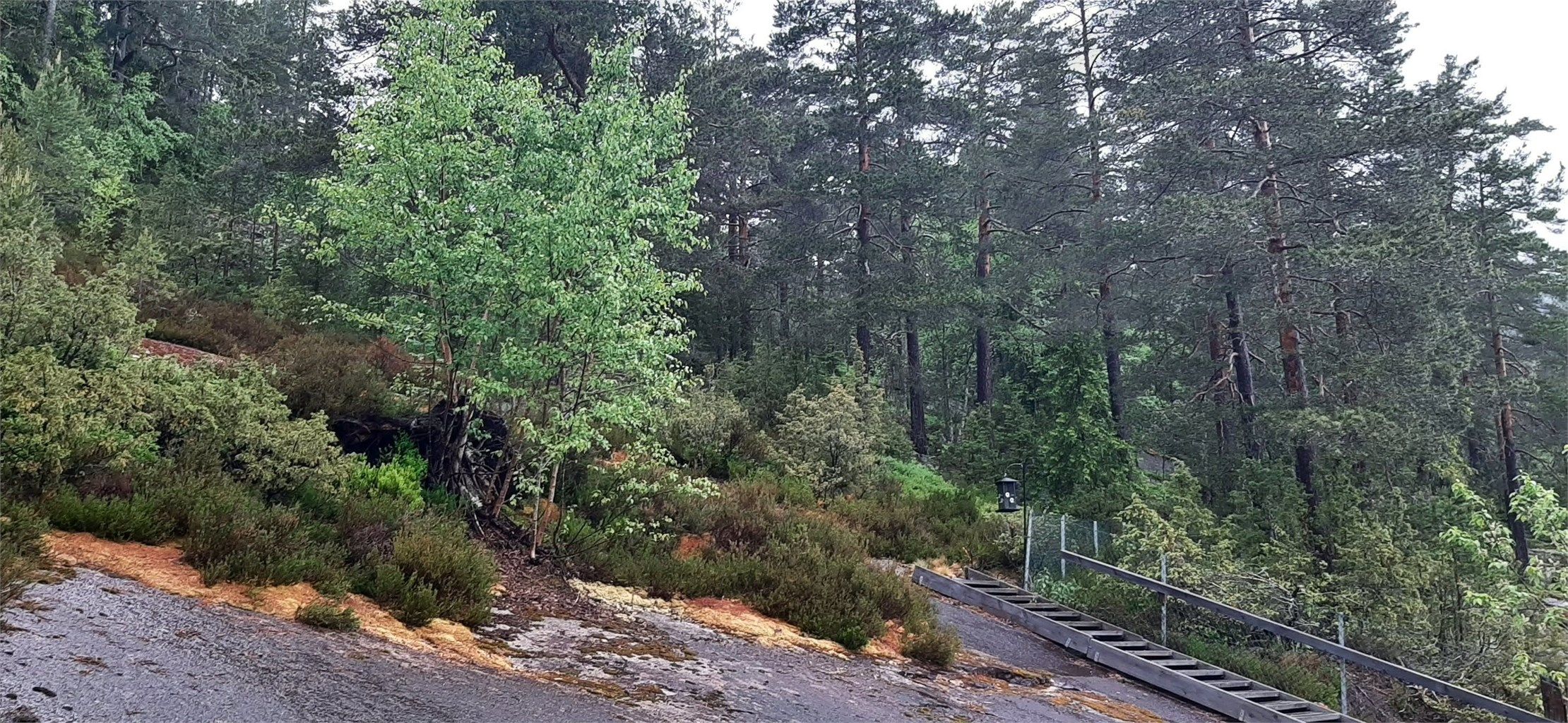 Området bak ved felles terrassen - Selgers bilde.