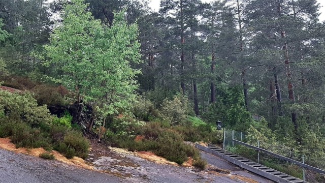 Området bak ved felles terrassen - Selgers bilde.