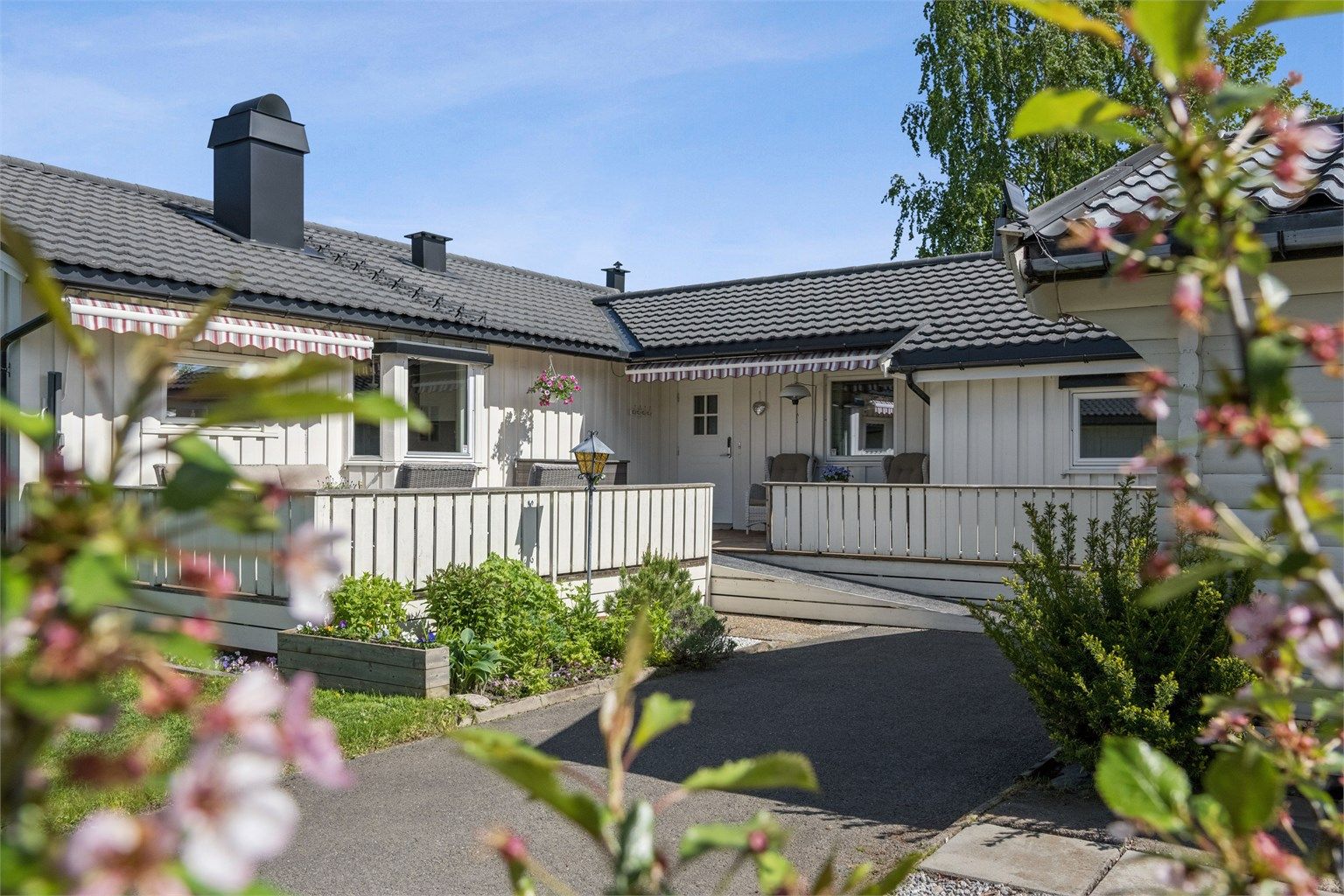 Nyt roen inne på tunet.