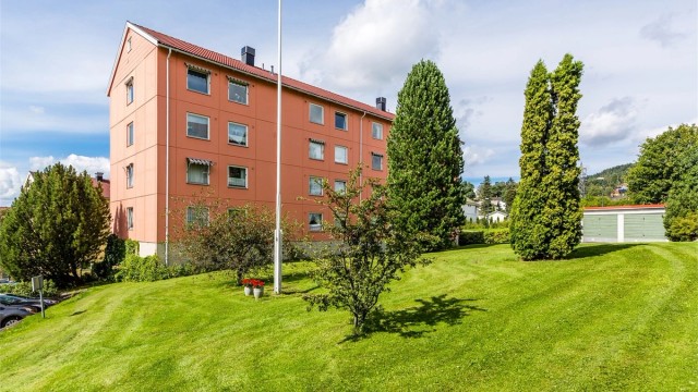 Dette er leiligheten for deg som ønsker kort vei til både byen og skogen