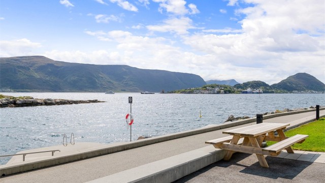 Flotte fellesarealer og gangsti langs sjøen med bade og fiskemuligheter