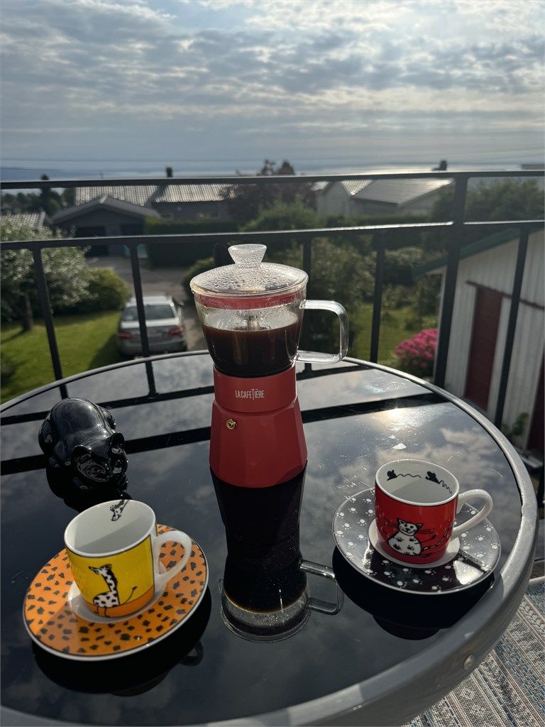 Nyt morgenkaffen med et nytt «maleri» av Oslofjorden hver dag. Om kvelden speiler sola seg i sjøen og gir fantastiske fargespill.