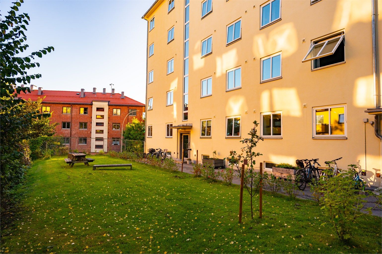Sjarmerende bakgård med grønne omgivelser og hyggelige sitteplasser.