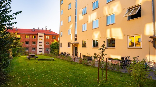 Sjarmerende bakgård med grønne omgivelser og hyggelige sitteplasser.