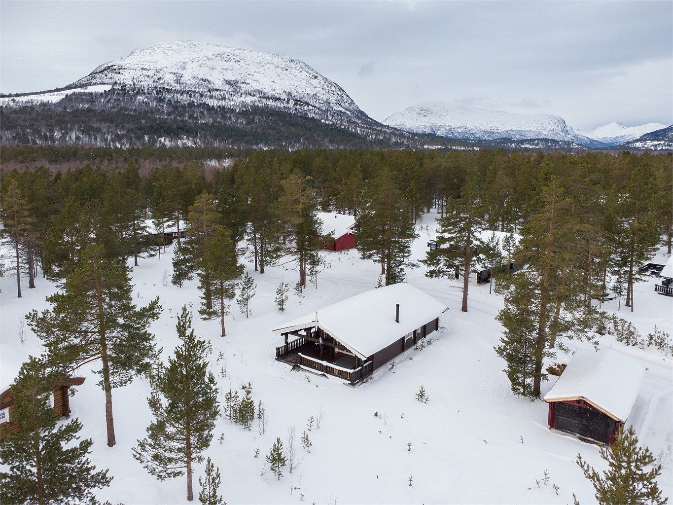 Dronebilde av hytten og nærområdet 