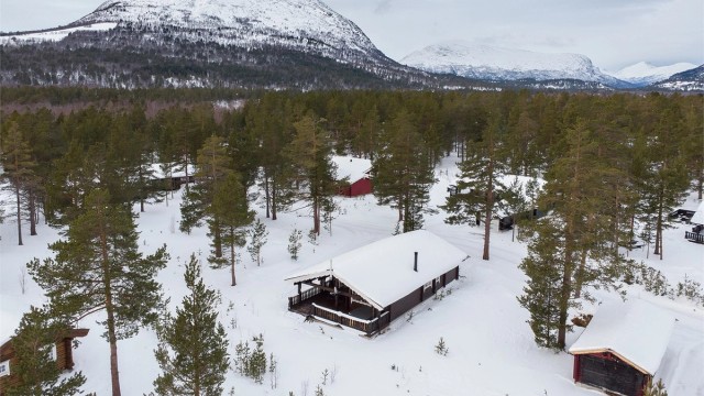 Dronebilde av hytten og nærområdet