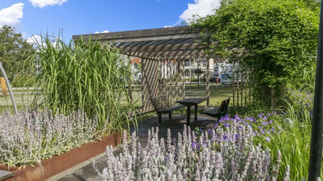 Badeparken i sentrum