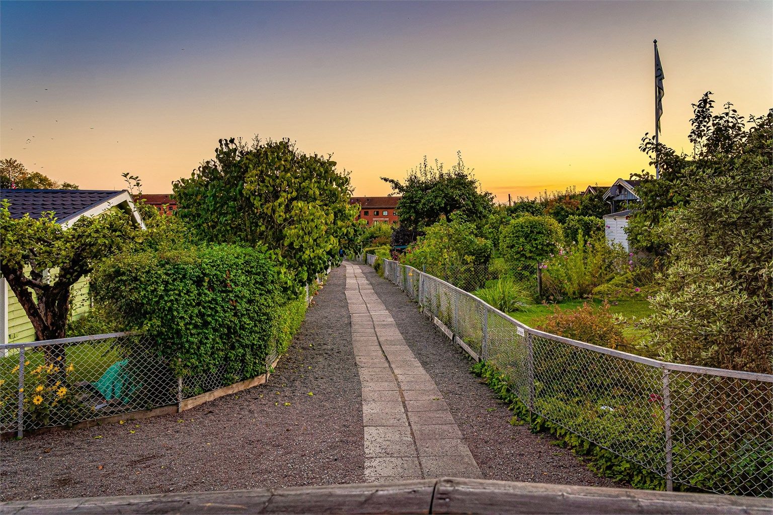 Sjarmerende Rodeløkkas kolonihager. 